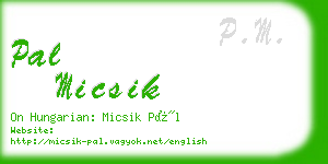 pal micsik business card